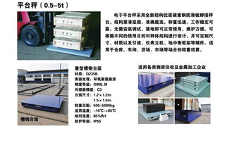 天津西青食品厂3吨电子地磅秤应用方案 仪器仪表之选
